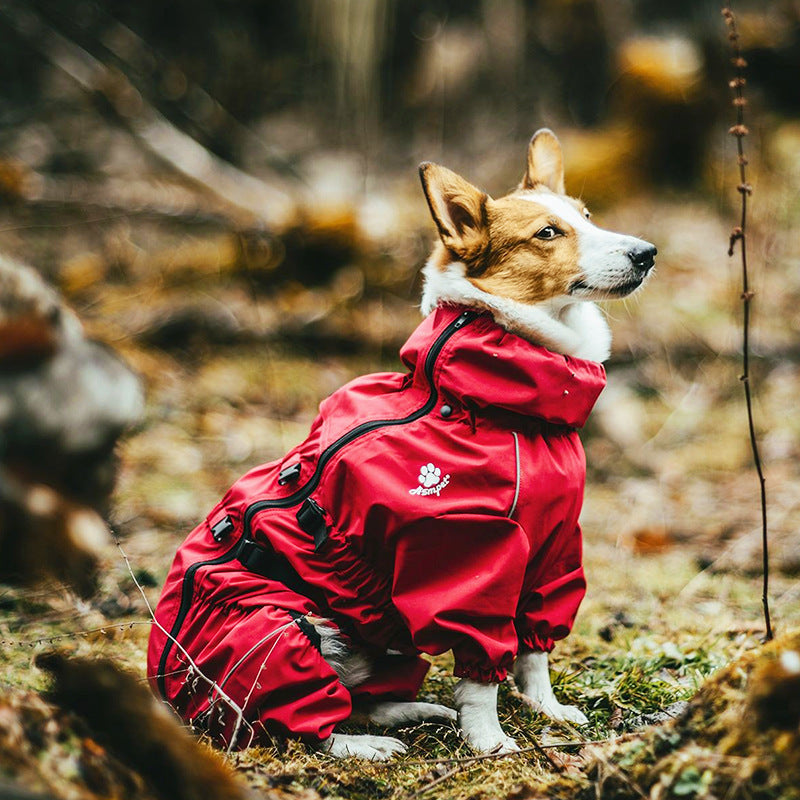 Discover the Ultimate Comfort: Four Legged All Inclusive Pet Sweater