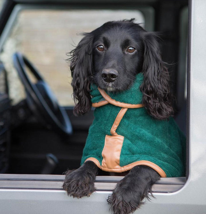 Discover the Ultimate Pet Quick-Drying Absorbent Clothes Towel