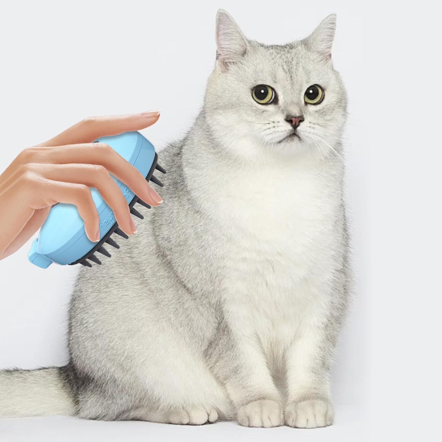 3-in-1 Whale-Shaped Cat Steam Brush