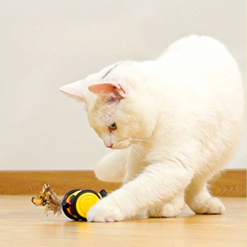 Cute Bee Running Kitten Pet Toys