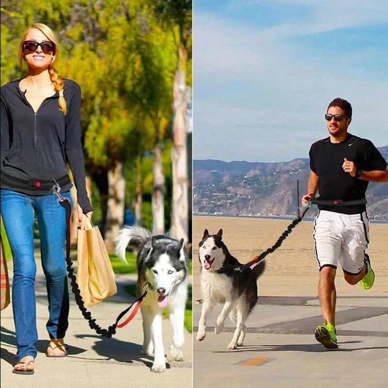 Jogging Adjustable Pet Leash